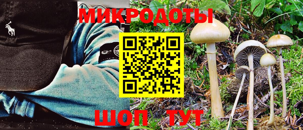 Галлюциногенные грибы прущие грибы  Вход с VPN  Энгельс  Галлюциногенные грибы MAGIC MUSHROOMS 